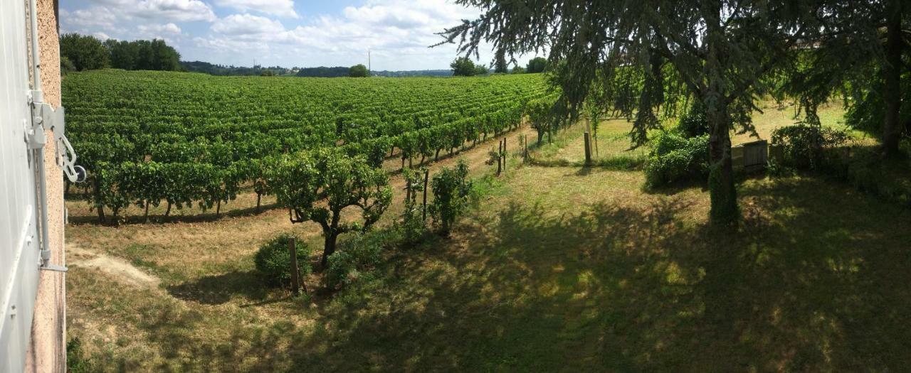 Appartamento Mirande Montagne-Saint Emilion Montagne  Esterno foto