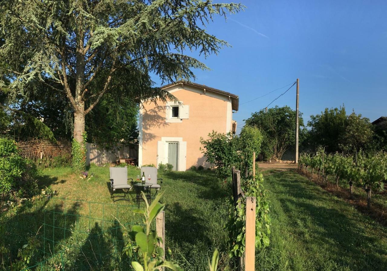 Appartamento Mirande Montagne-Saint Emilion Montagne  Esterno foto